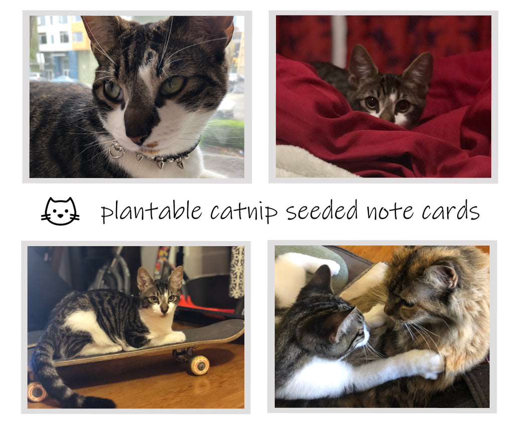 Custom Cats: Plantable Seeded Note Cards (Catnip seeds)